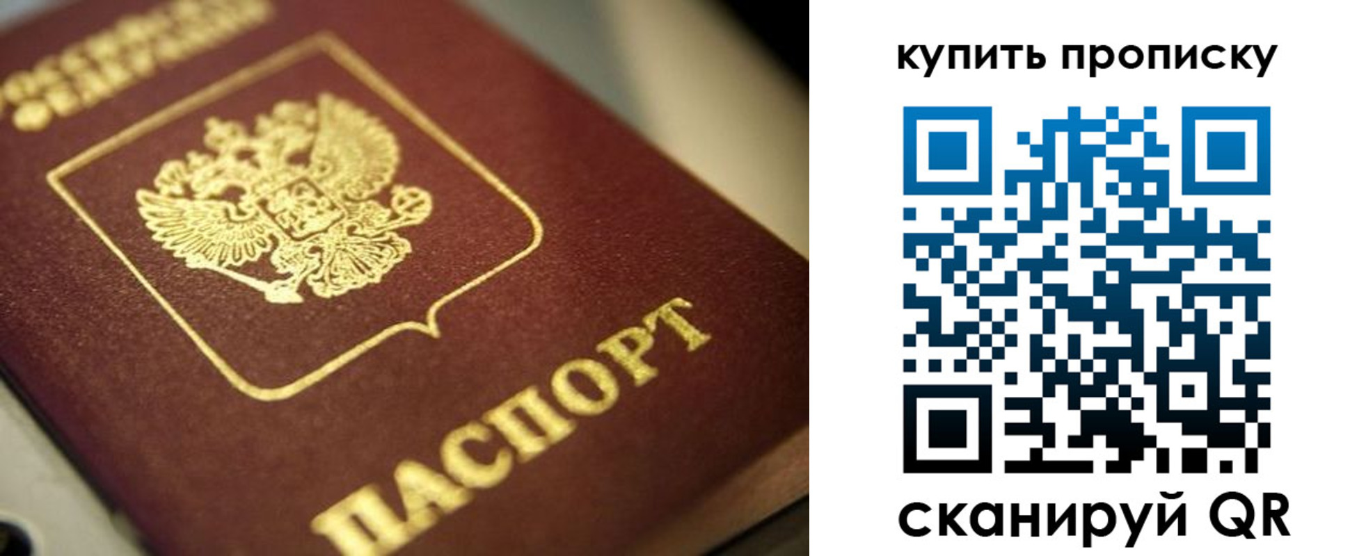 прописка поиск в Барнауле